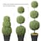 Haute Decor Triple Ball Artificial Boxwood Topiary, Adjustable to 64" Tall